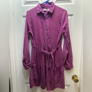 Womens Long Sleeve Button-Front Shirt Dress in Plum